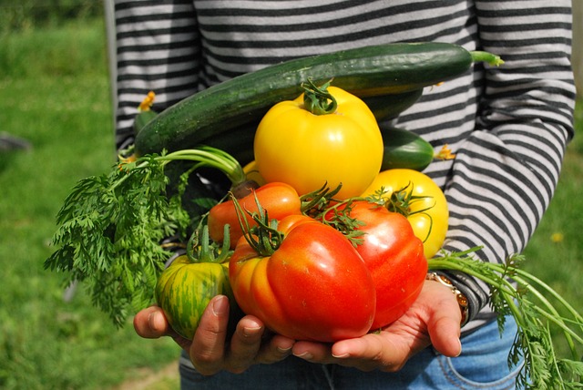 Comment construire un potager sur un balcon