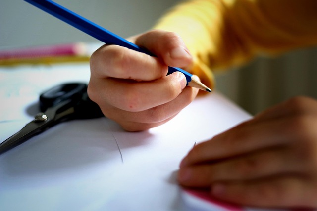 L'impact de la formation professionnelle sur l'employabilité